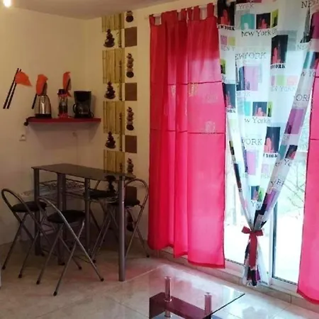 Appartement De 2 Chambres Avec Terrasse Amenagee A Dijon